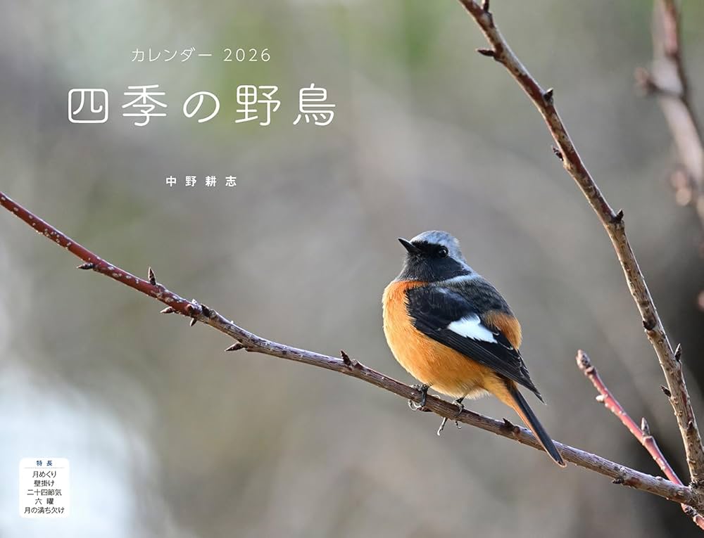 カレンページ 🗓️2026年 カレンダー 発売🗓️ - Z&K